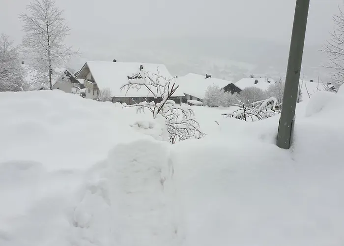 Schoene In Bayerische Wald,sankt Englmar סנקט אנגלמר